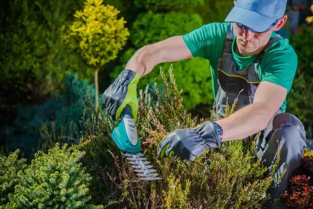 landscaping services Stearns